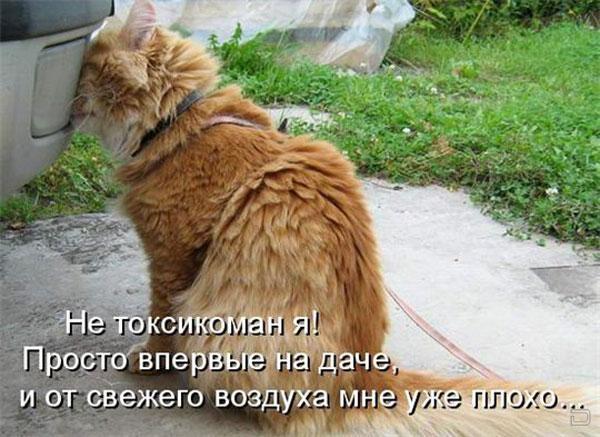 http://www.uaimages.com/images/1491741254472372_24.jpg